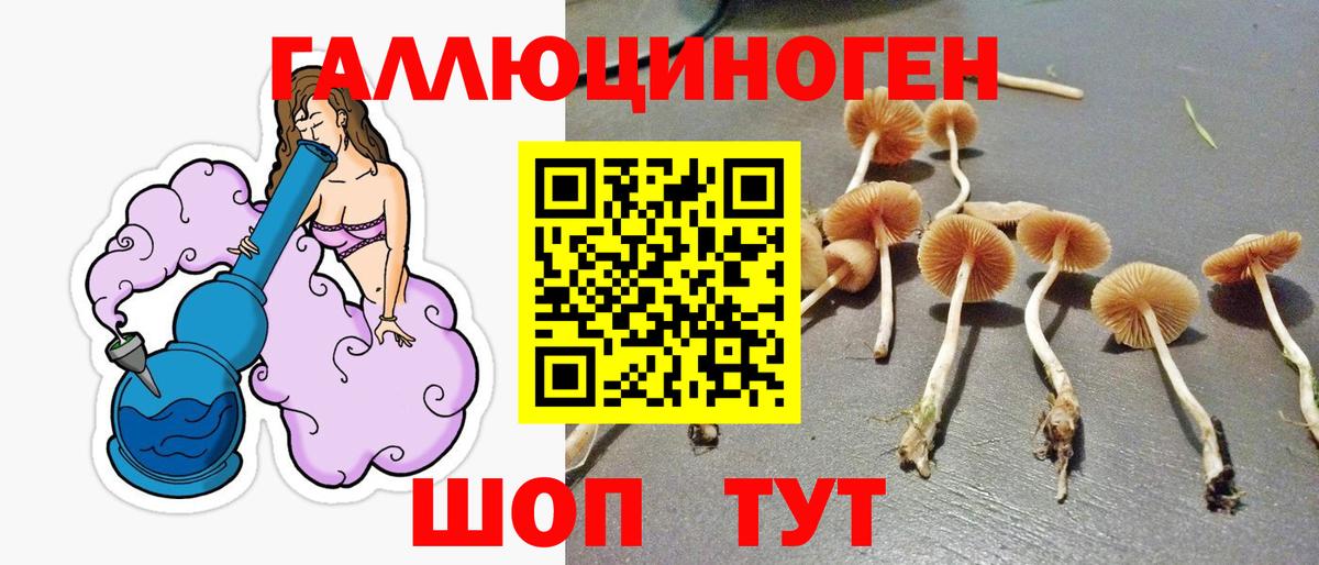Галлюциногенные грибы Psilocybe Топки