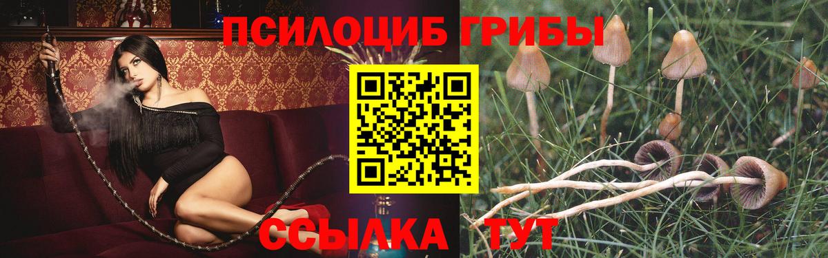 Псилоцибиновые грибы Magic Shrooms  Вход с VPN  Топки 
